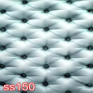 5'x8' SS150